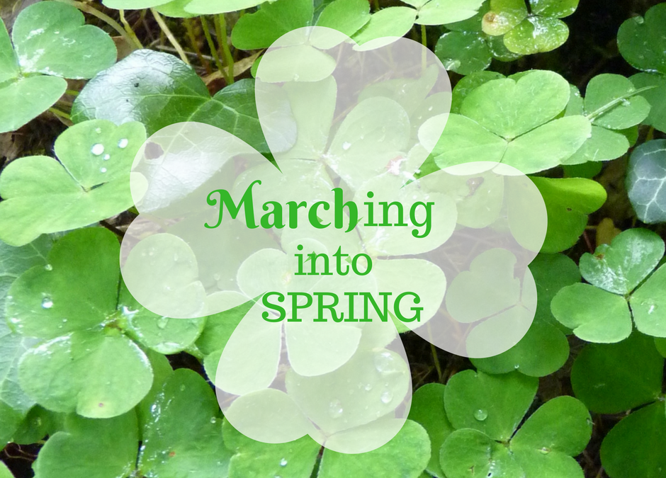 ~ Marching Into Spring ~